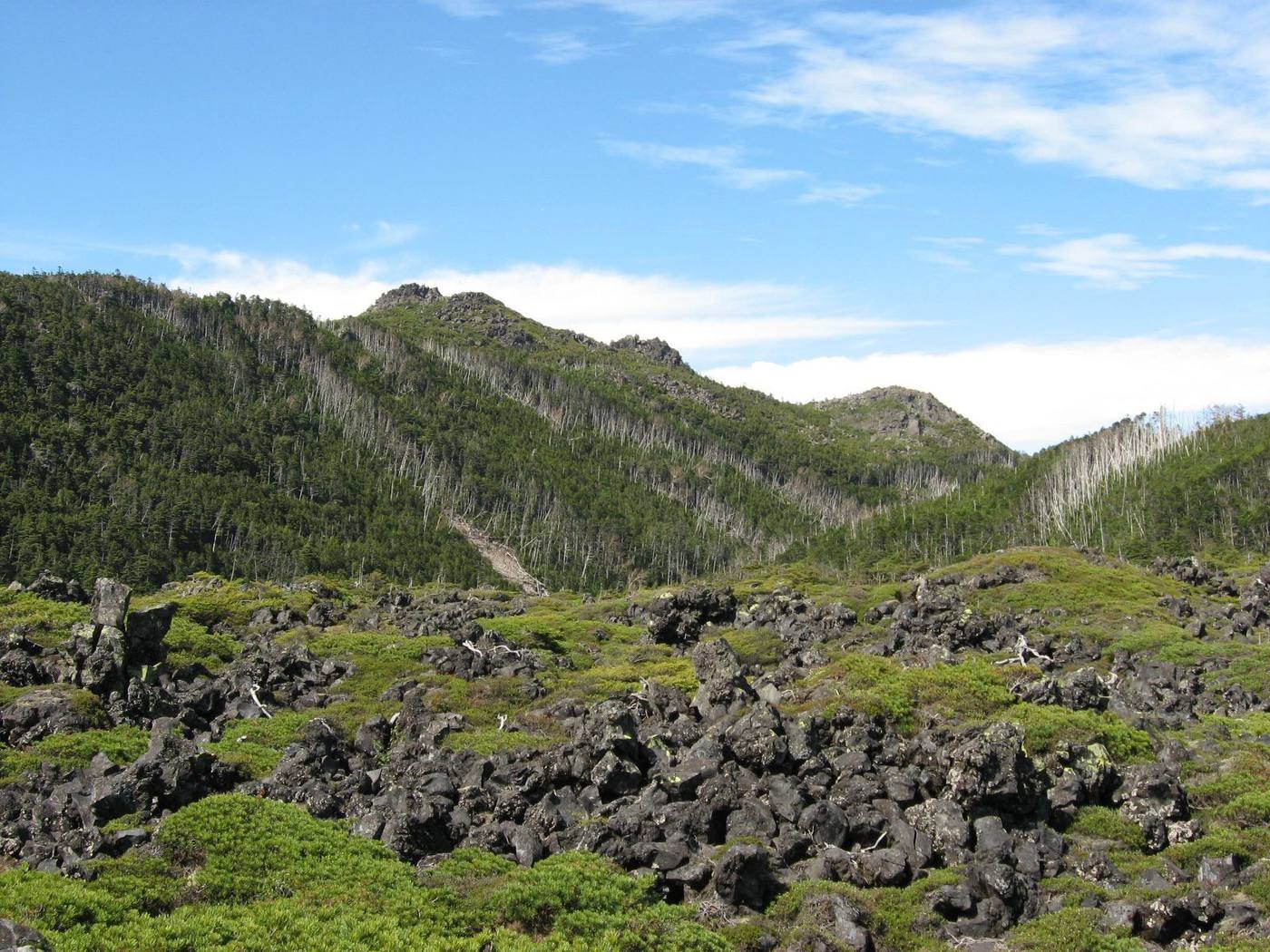 北横岳と縞枯山、溶岩の原