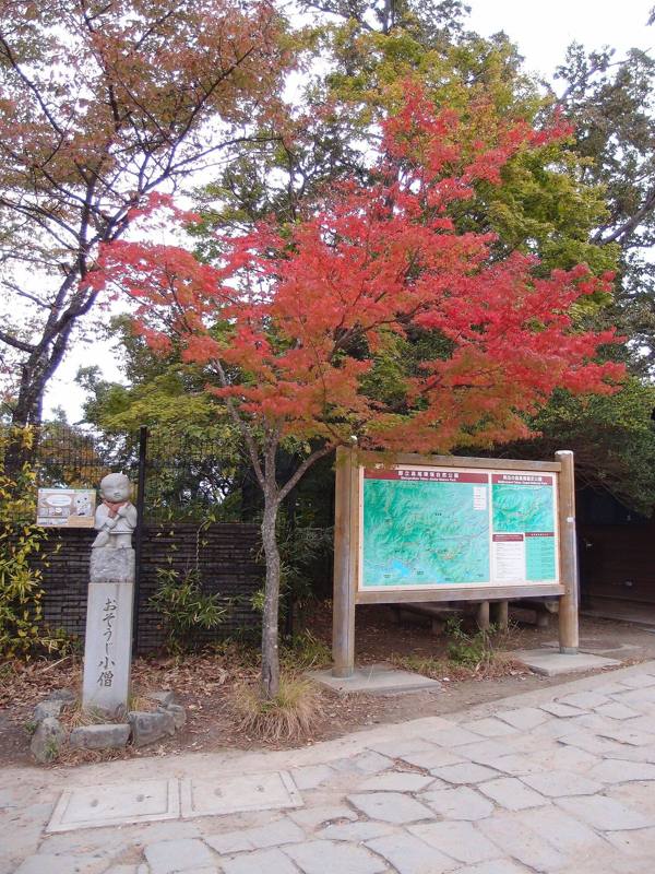 高尾山の山頂。秋の色づき