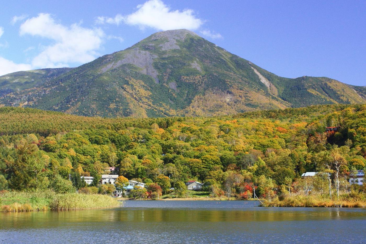 蓼科山（茅野市北山から）
